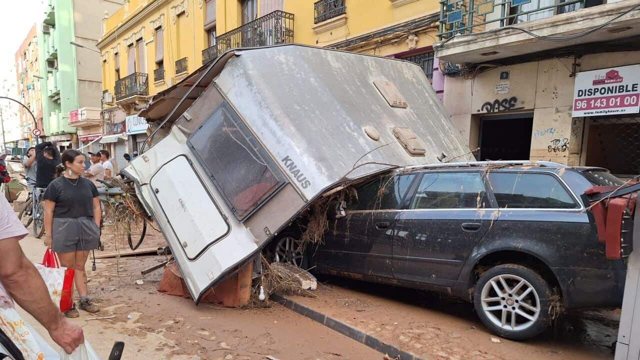 WhatsApp Image 2024-11-01 at 09.26.24.jpeg