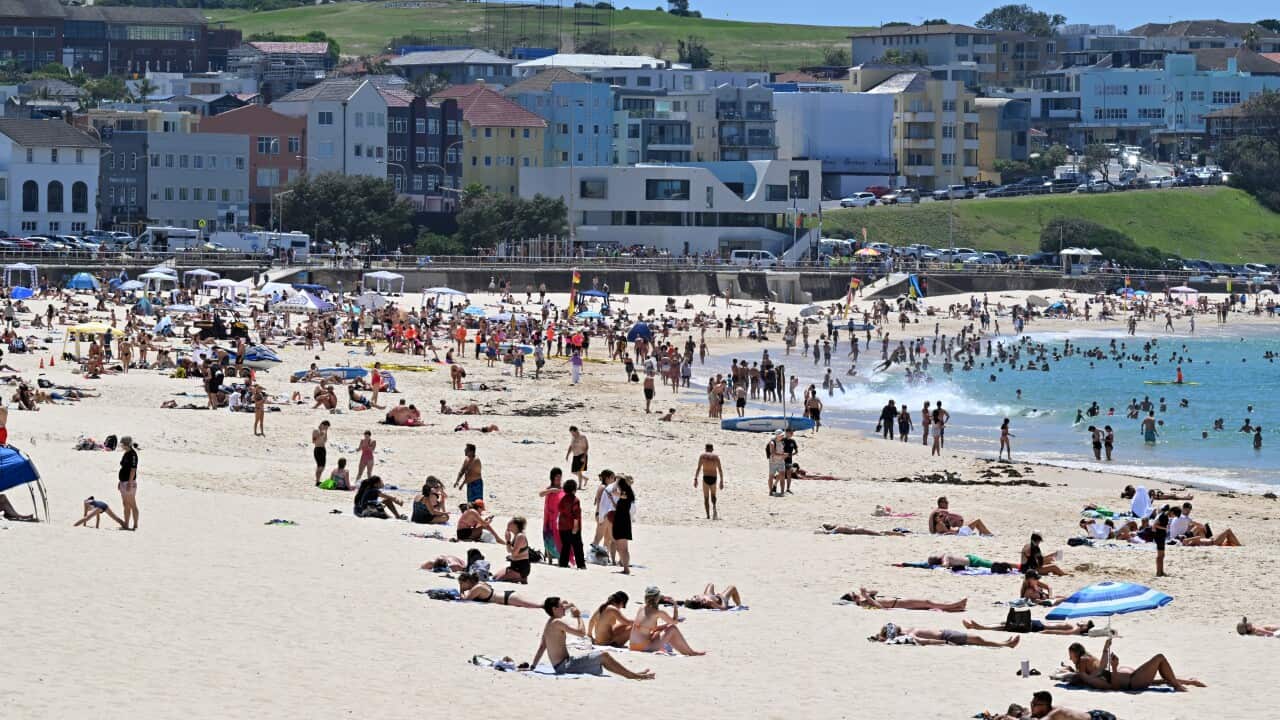 People swim and cool off at a harbour foreshore as the city skyline rises behind them during hot weather.
