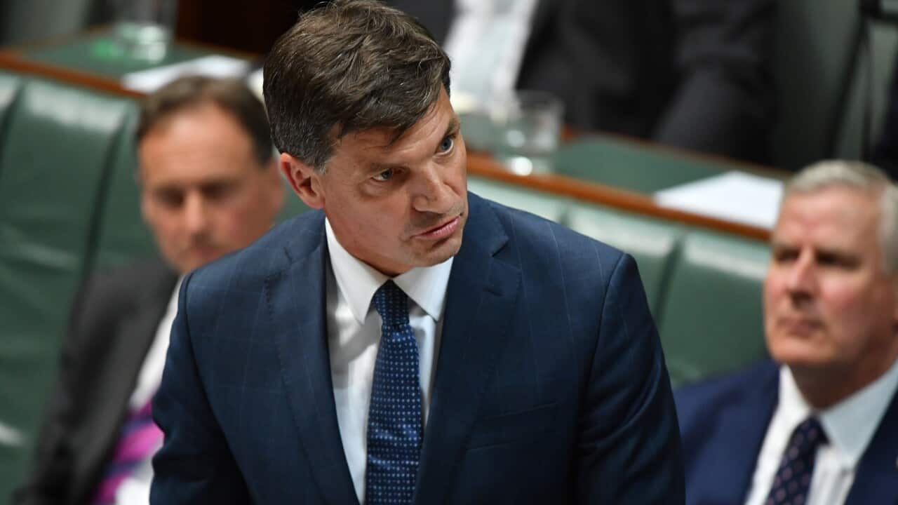 Minister for Energy Angus Taylor said Australia wouldn't implement a target without the means of achieving it.