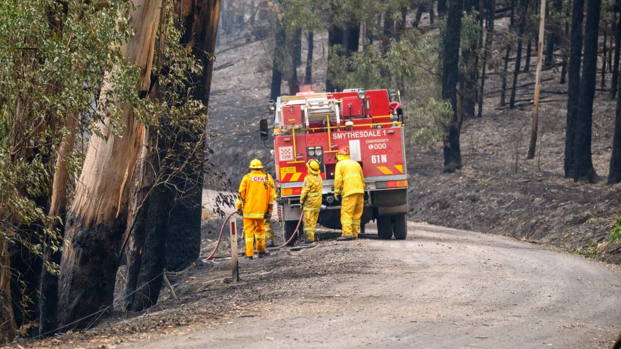 OTWAY FIRE VICTORIA