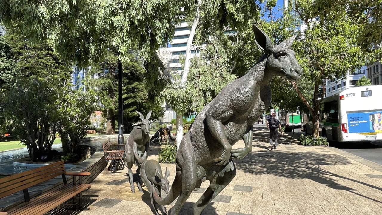 Stirling Gardens, Perth. ©️SBBS Serbian