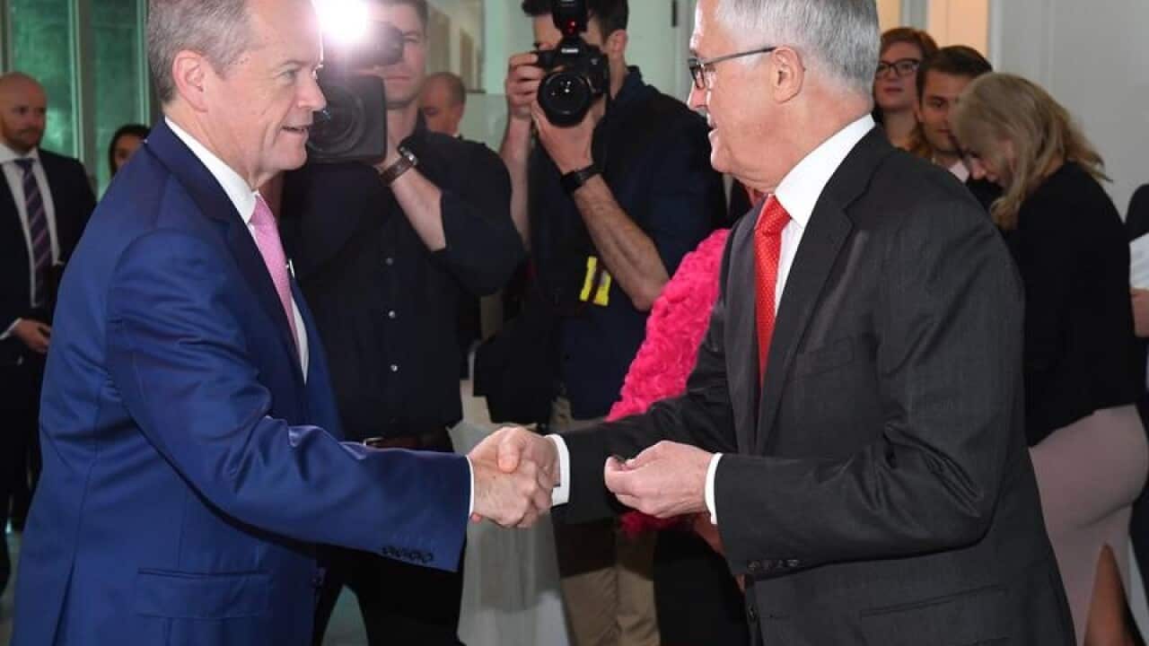 Leader of the Opposition Bill Shorten (L) greets PM Malcolm Turnbull