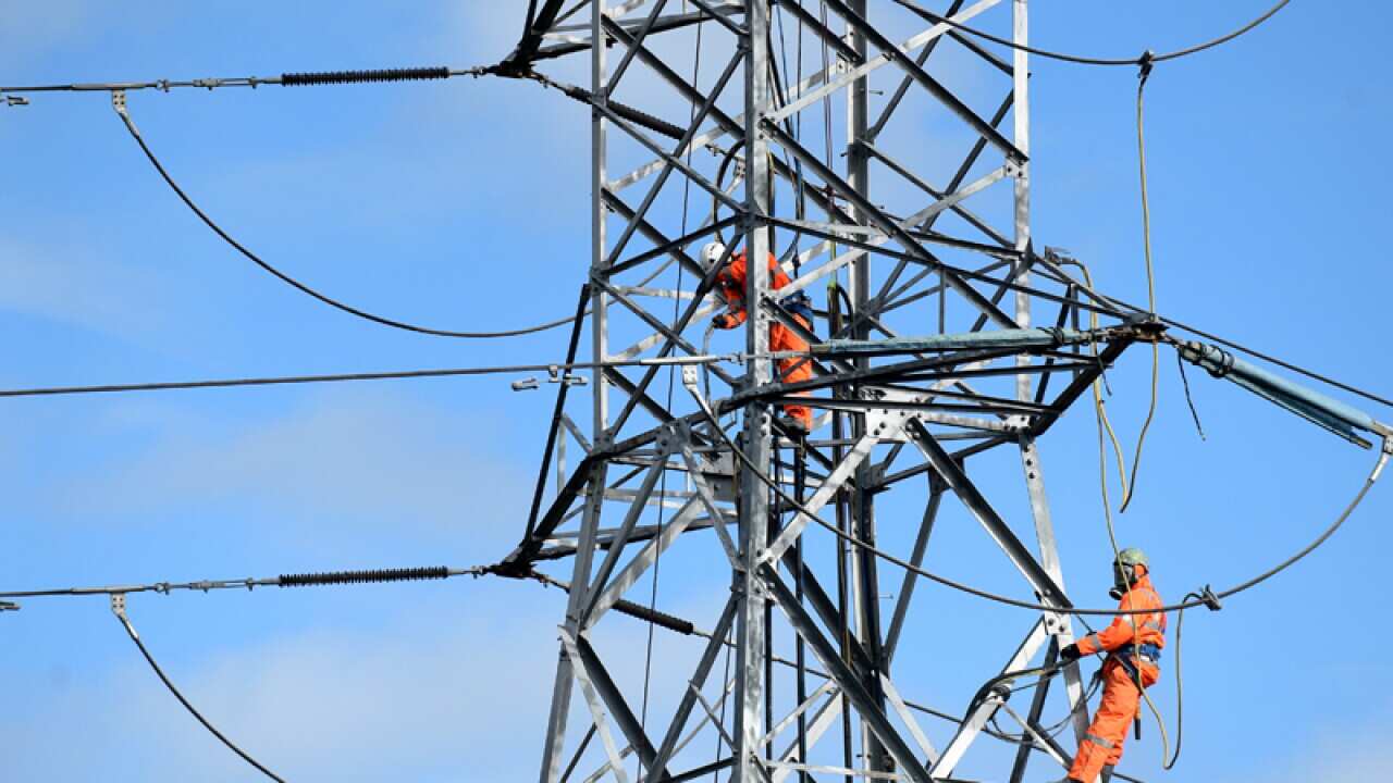 Workers are seen on a high tension electricity pylon