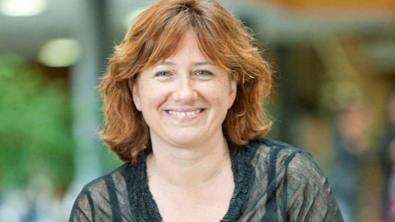 Image for read more article ''