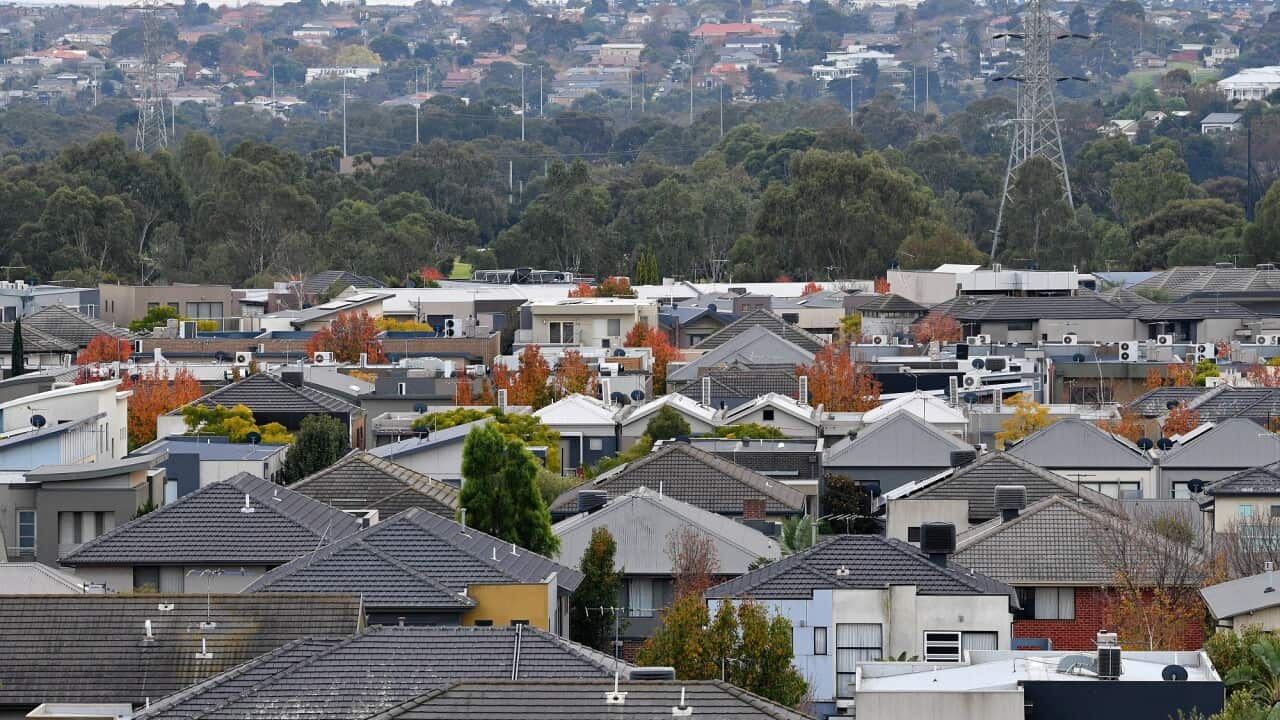 Image for read more article 'READ MORE'