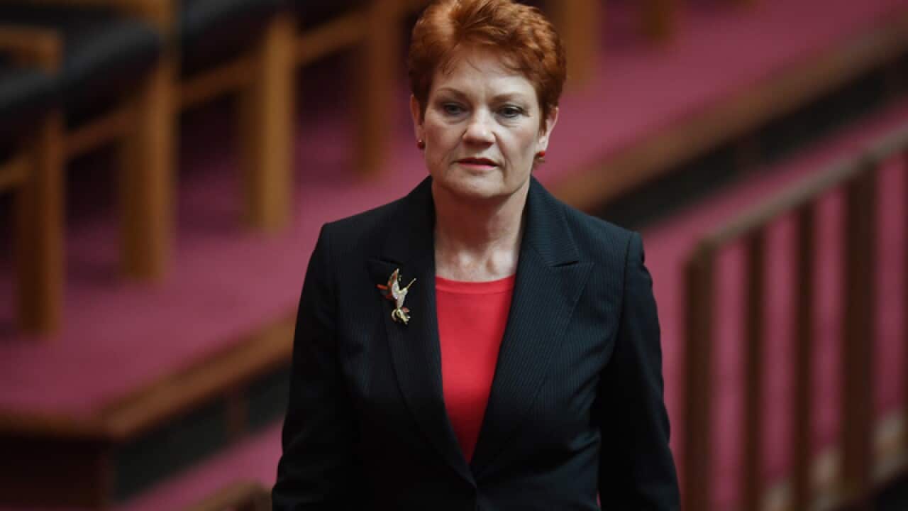 One Nation leader Senator Pauline Hanson
