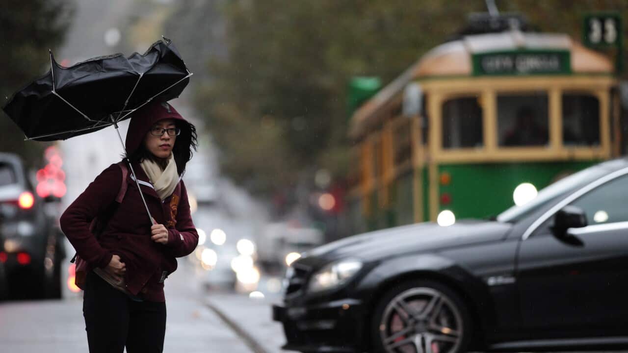 A woman carrying an umbrella in the Melbourne CBD.