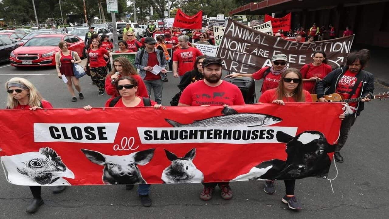 Animal rights protesters during a march in Melbourne.