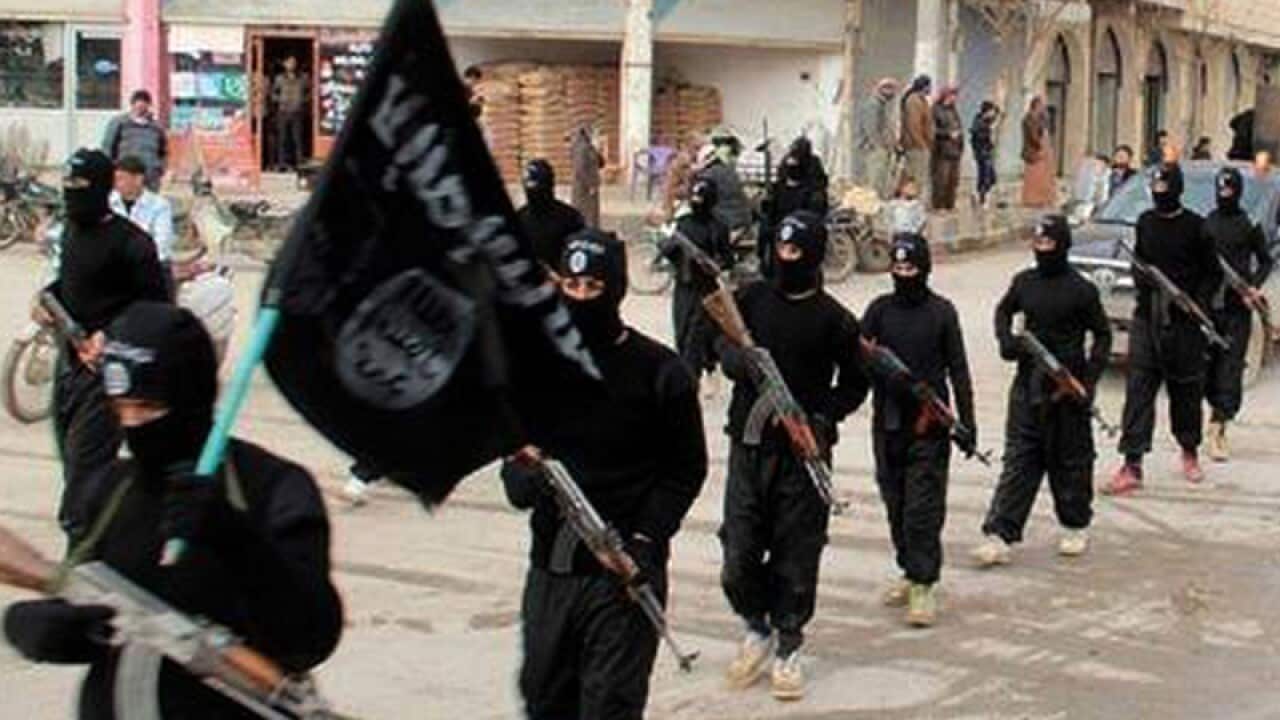 Islamic State fighters