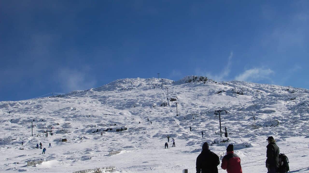 TRAVEL SNOW GAUGE