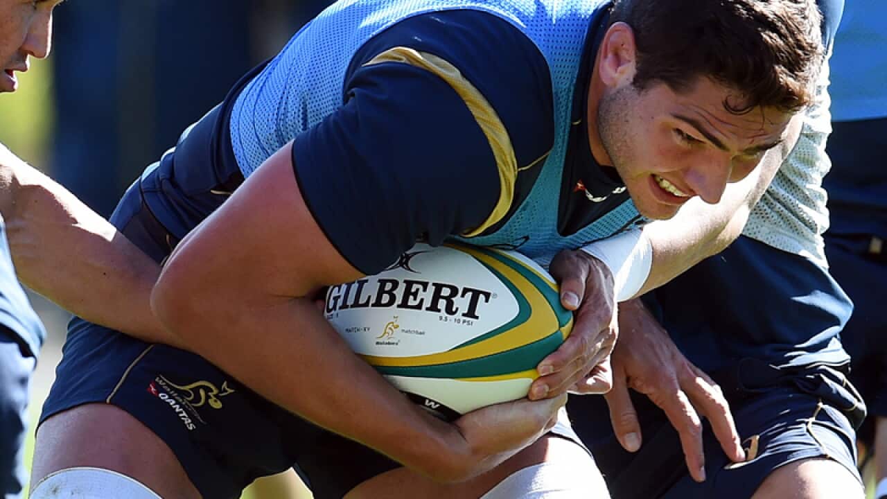 Wallabies player Rob Simmons