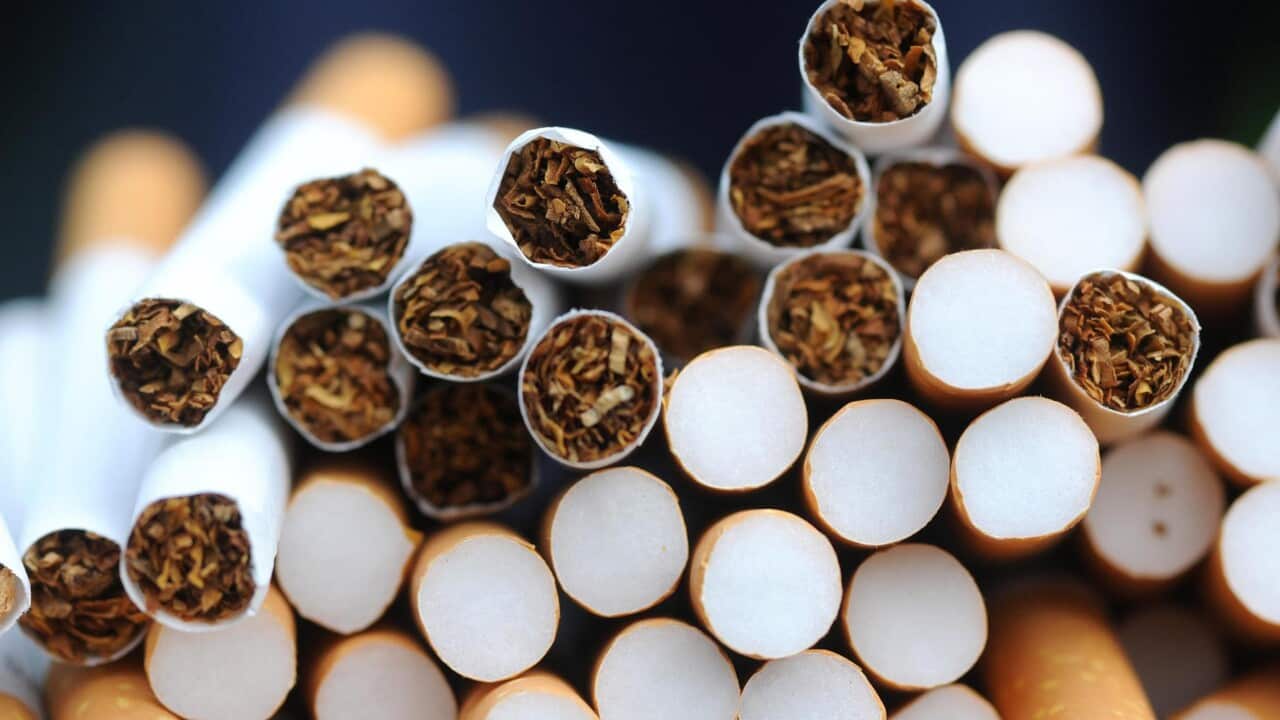 Illegal tobacco conference