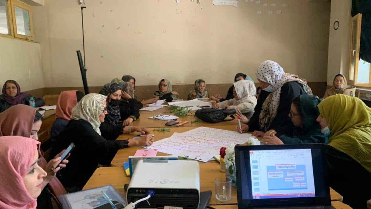 Image for read more article ''