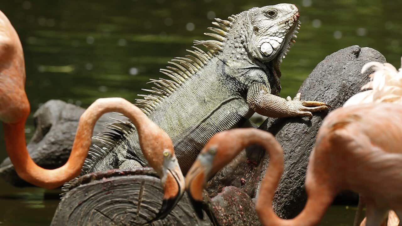 Image for read more article 'Información relacionada:'