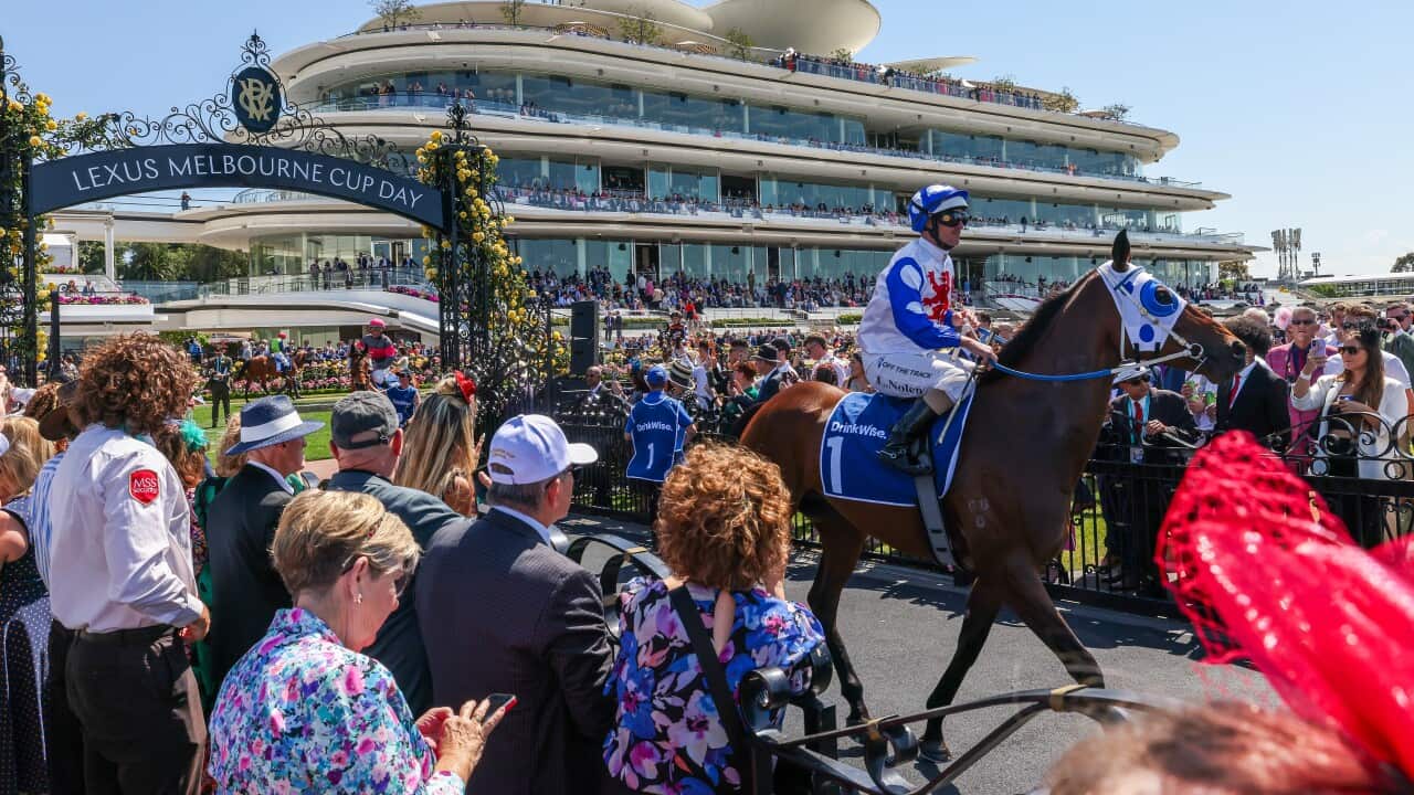 2023 Melbourne Cup Day