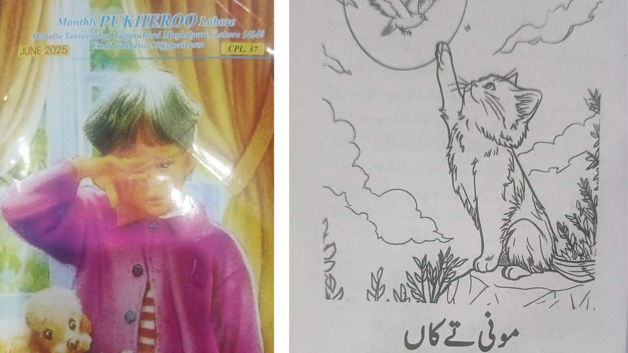 Image for read more article 'READ MORE'