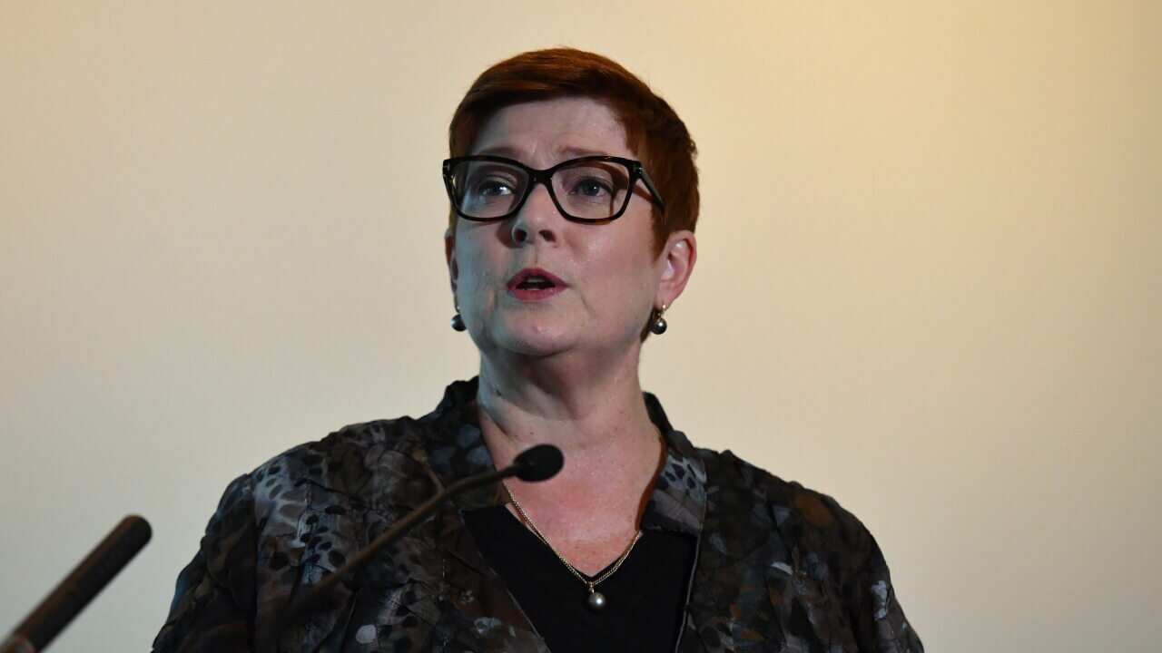 Minister for Foreign Affairs Marise Payne speaks at an Australian Council for International Development event at Parliament House.