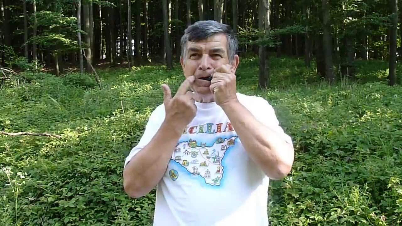 jew's harp, drumbla, jaw harp