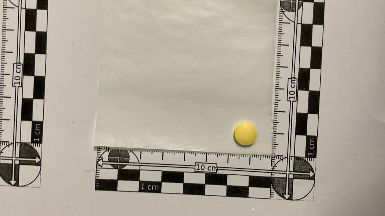 The unmarked yellow tablet that contained the dangerous drug.