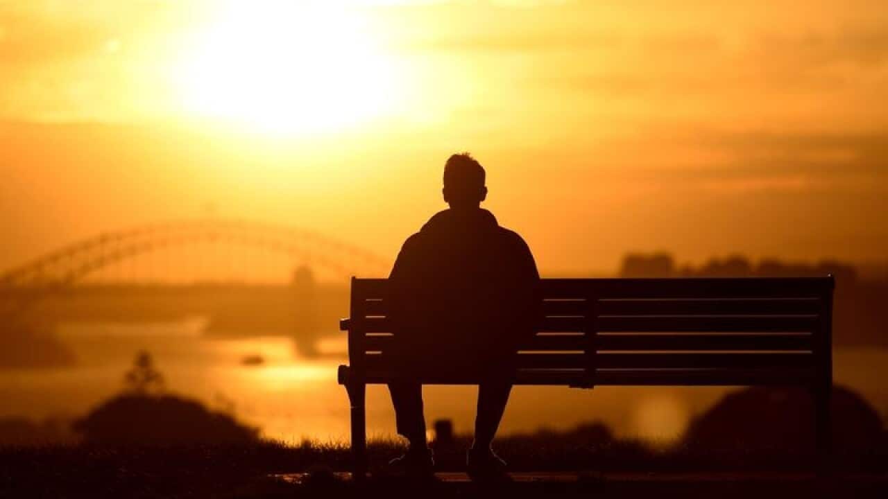 A man watches the sun set behind the Sydney Harbour Bridge