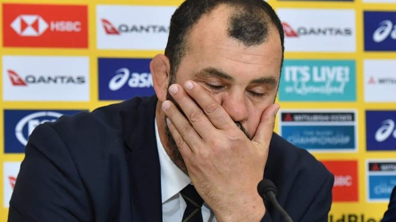Michael Cheika