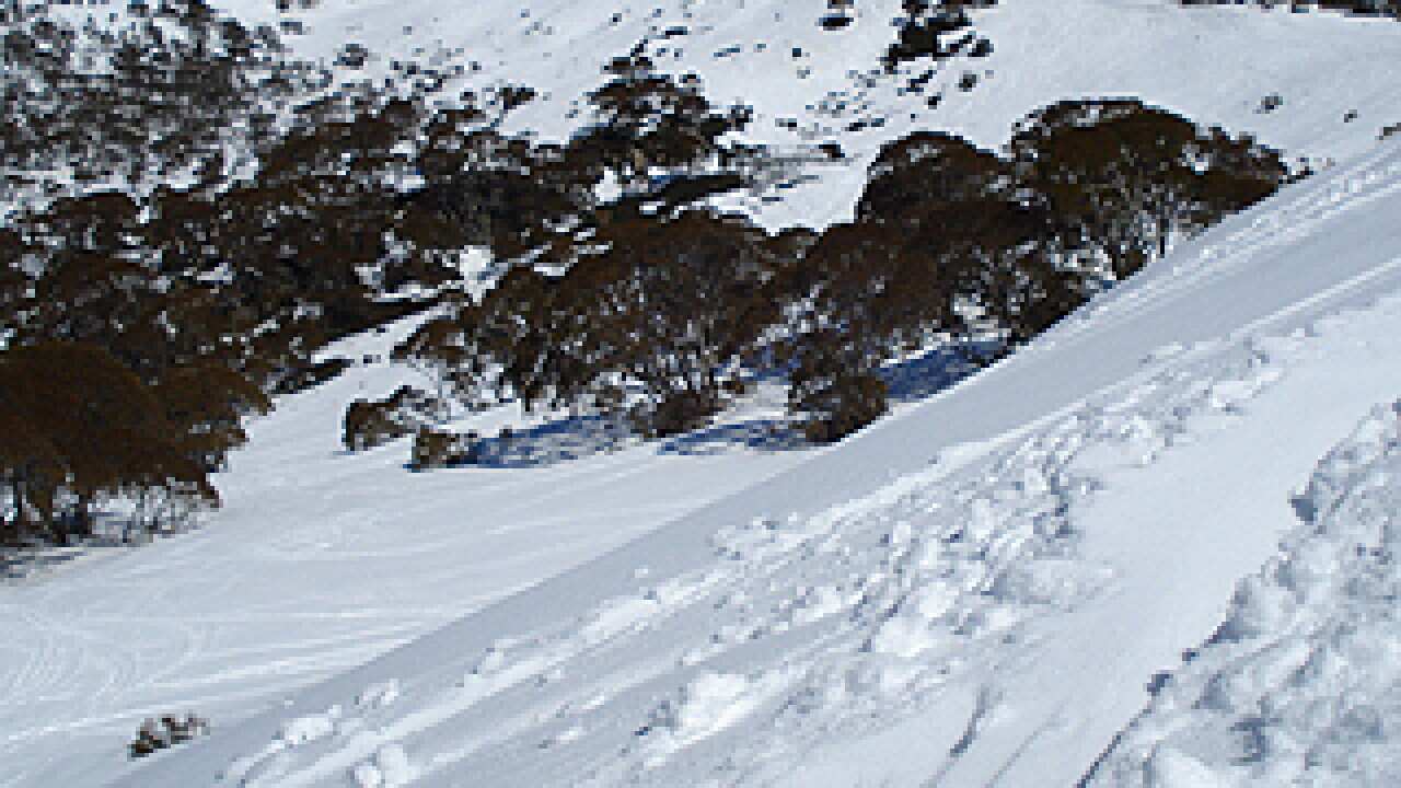 Charlottes Pass