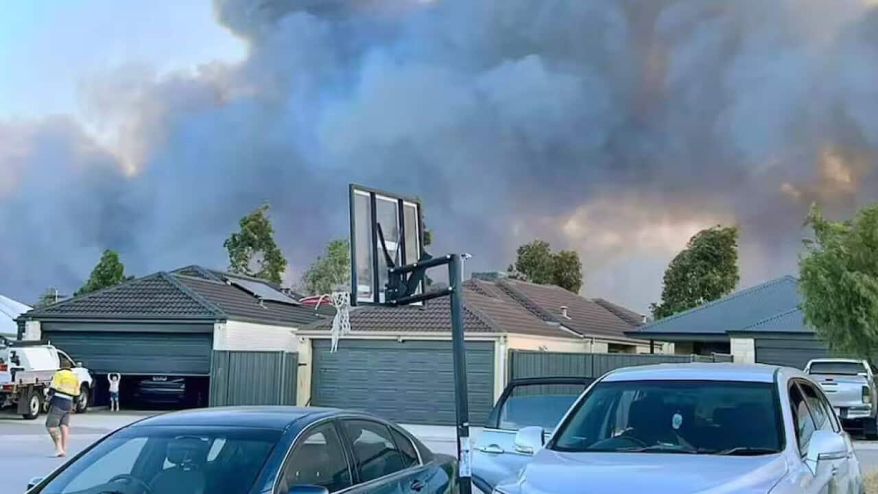 Bushfire.jpg