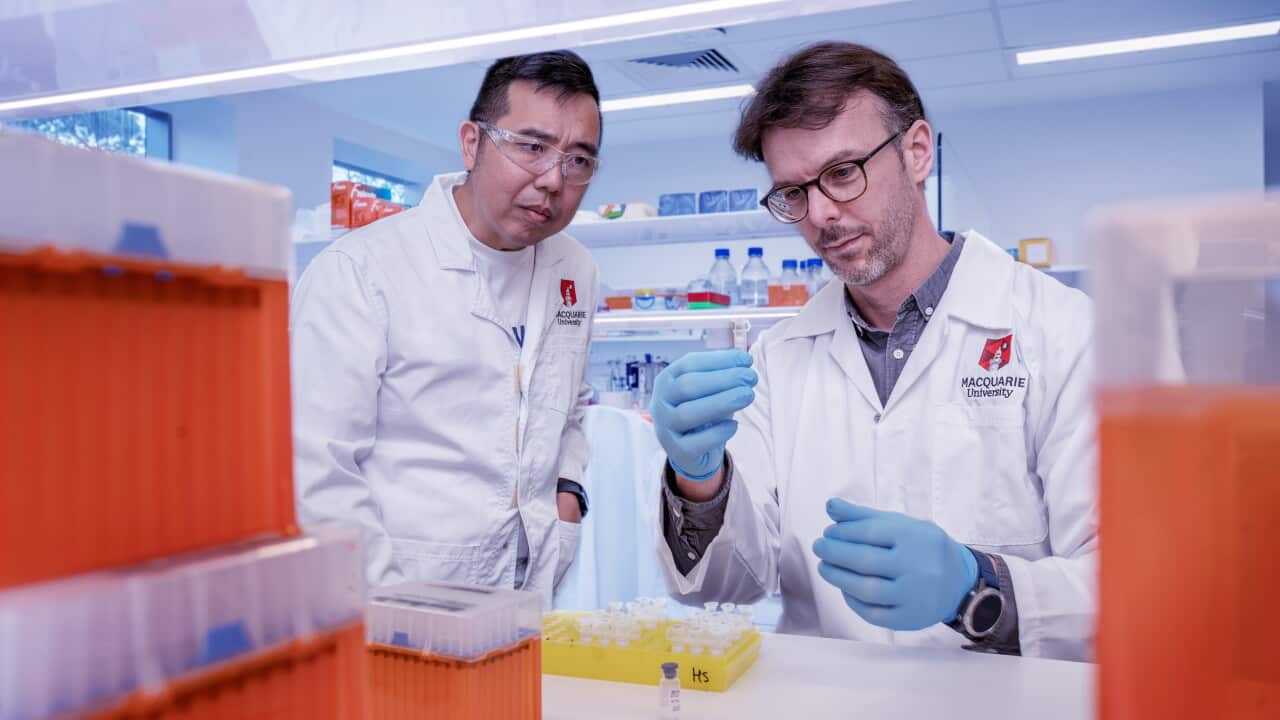 Two scientists working in a lab, one holding a test-tube and another watching.