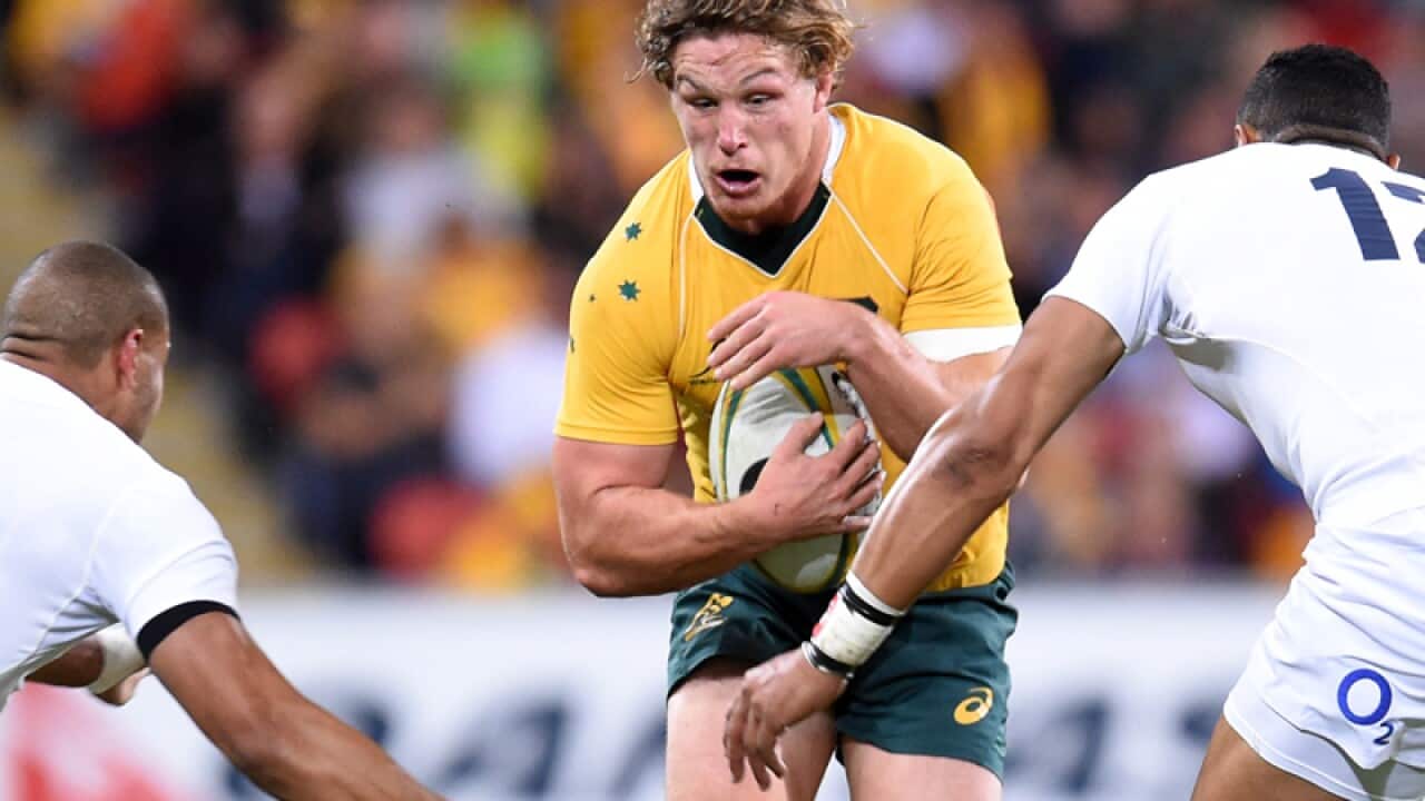 Michael Hooper of the Australian Wallabies