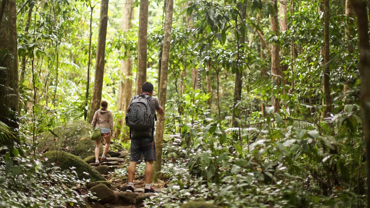 Scenes Of The Cairns Region