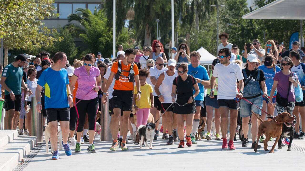 Penny Marathon