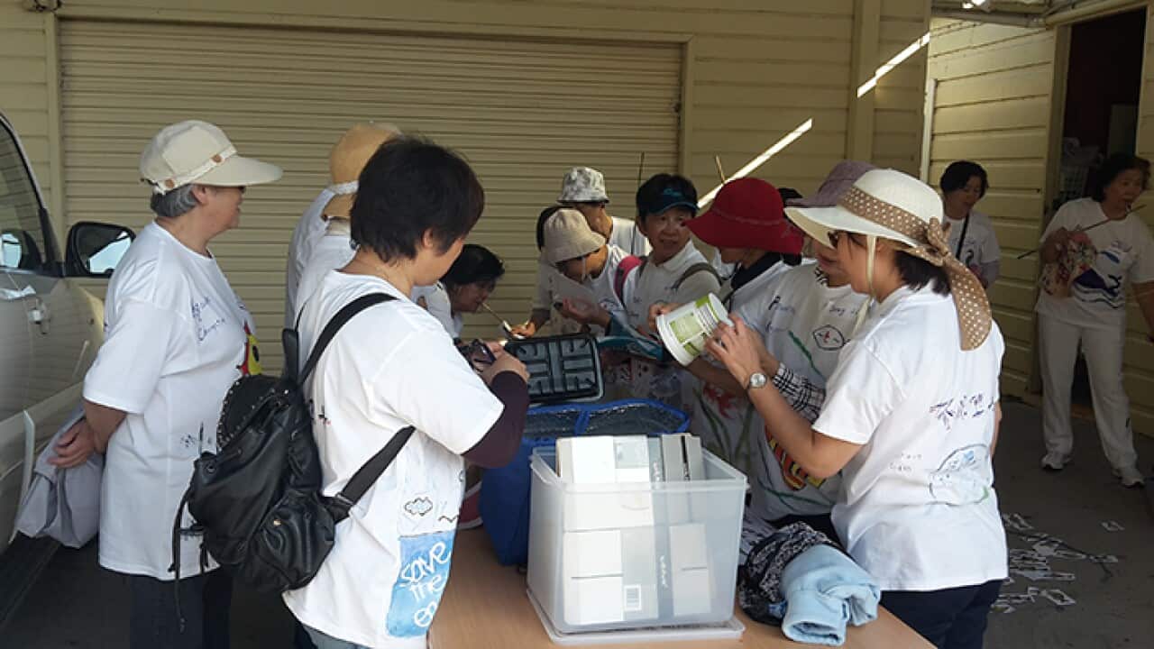 Image for read more article 'READ MORE'