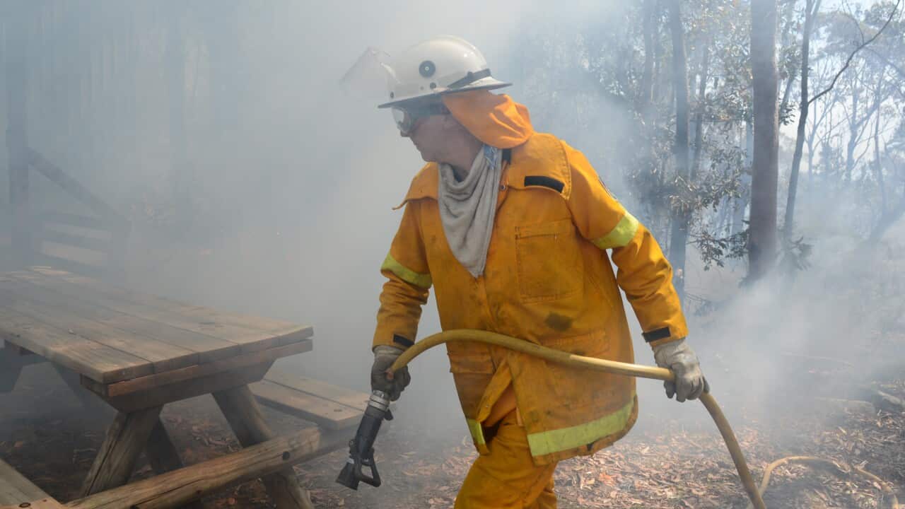 Rural Fire Service (RFS) volunteers fight to contain an out of control fire at Winmalee in the Blue Mountains west of Sydney
