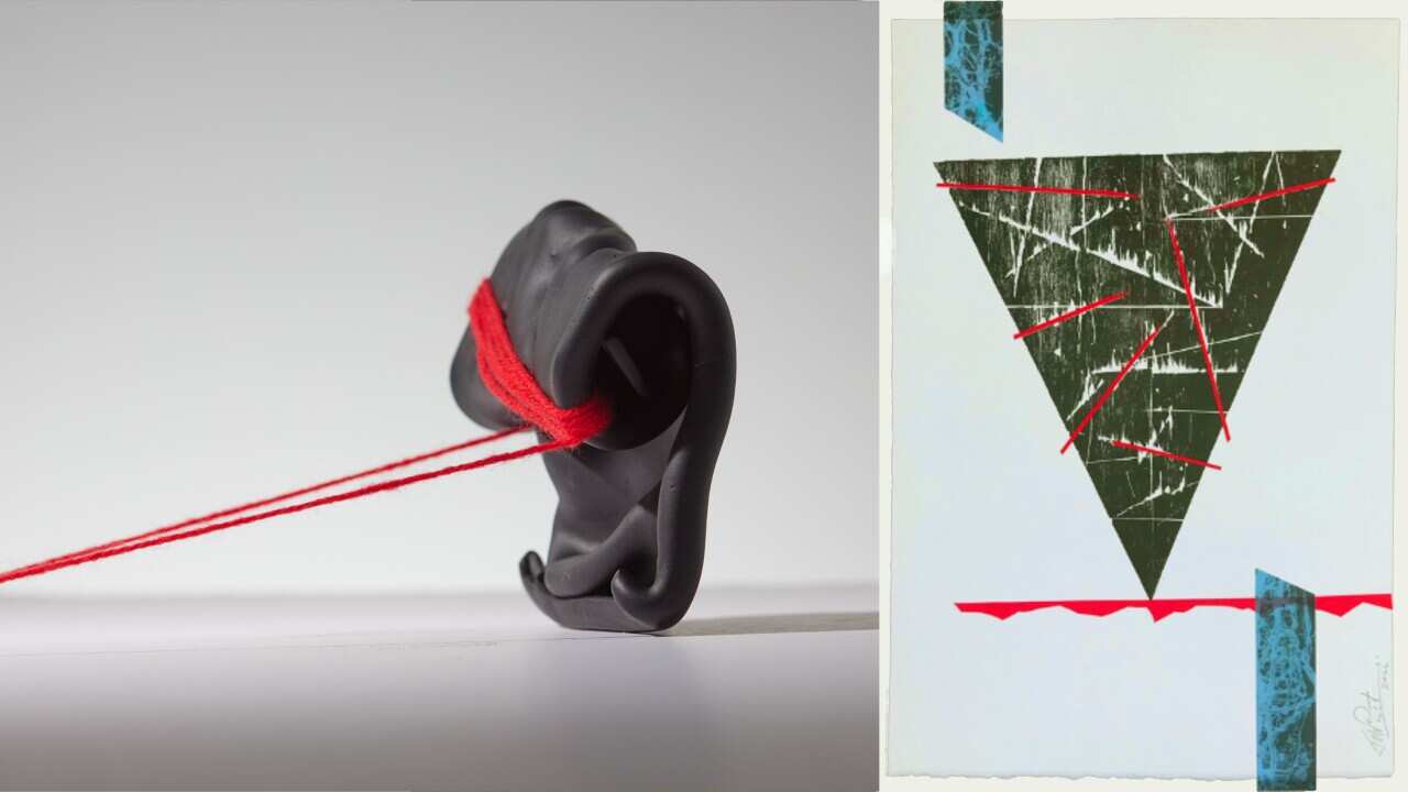 endometriose exhibition canberra