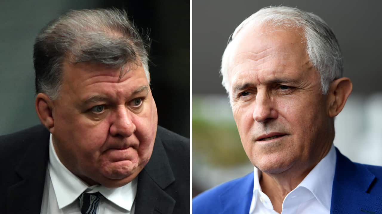 Former Prime Minister Malcolm Turnbull has called on Coalition leaders to criticise backbencher Craig Kelly.