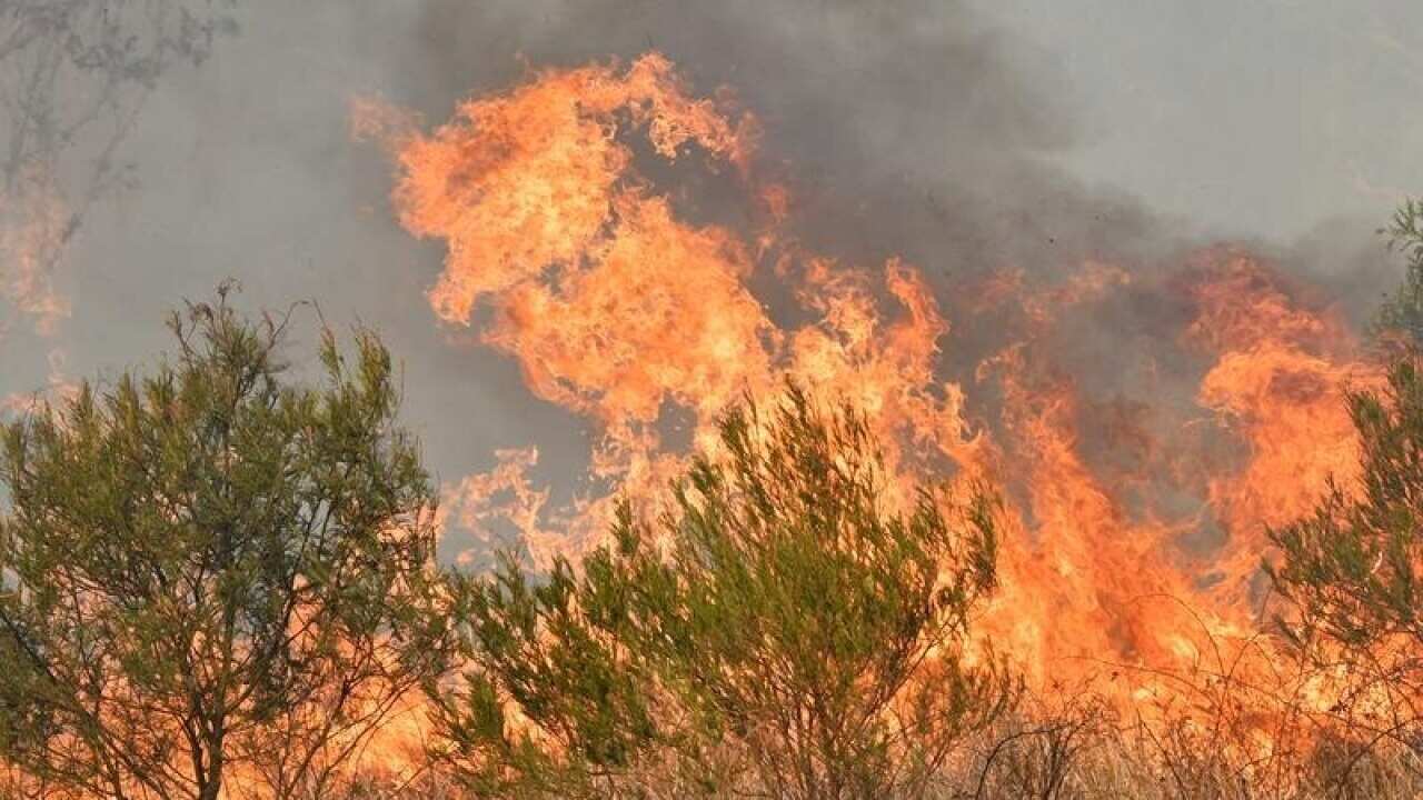A bushfire on Long Gully Road in northern New South Wales.