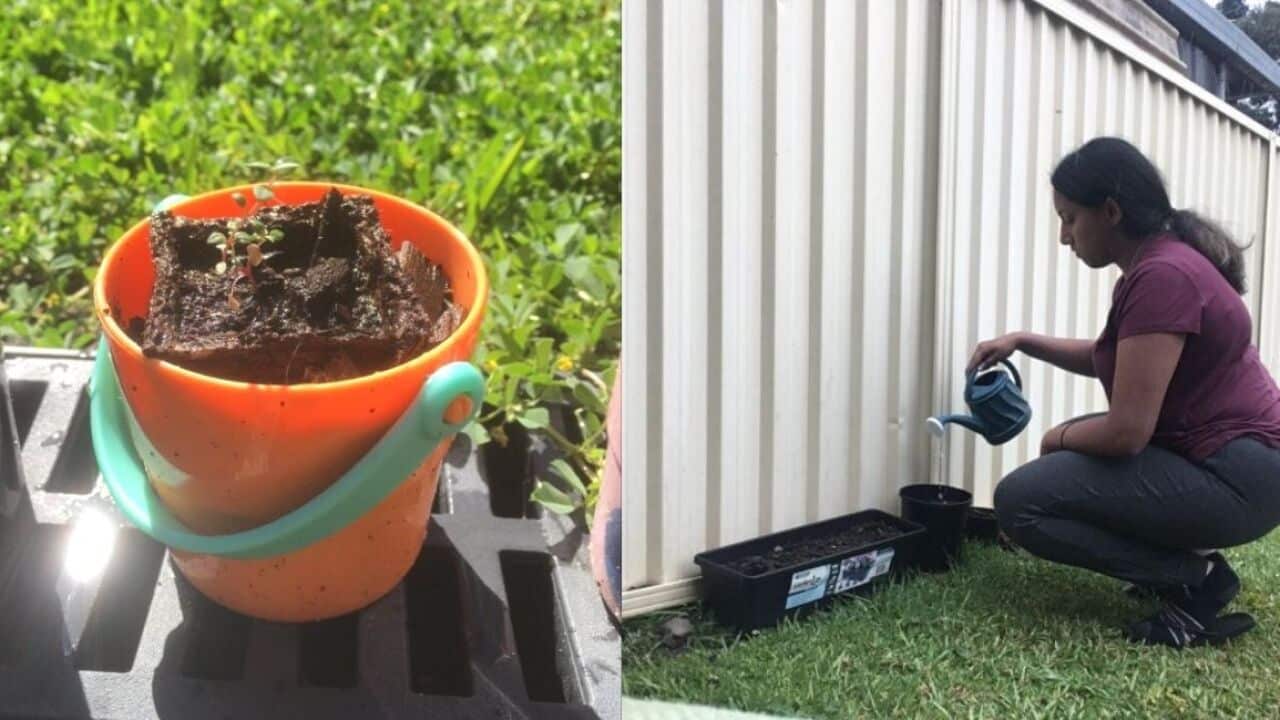 I thought gardening was mind-numbingly boring until it taught me patience