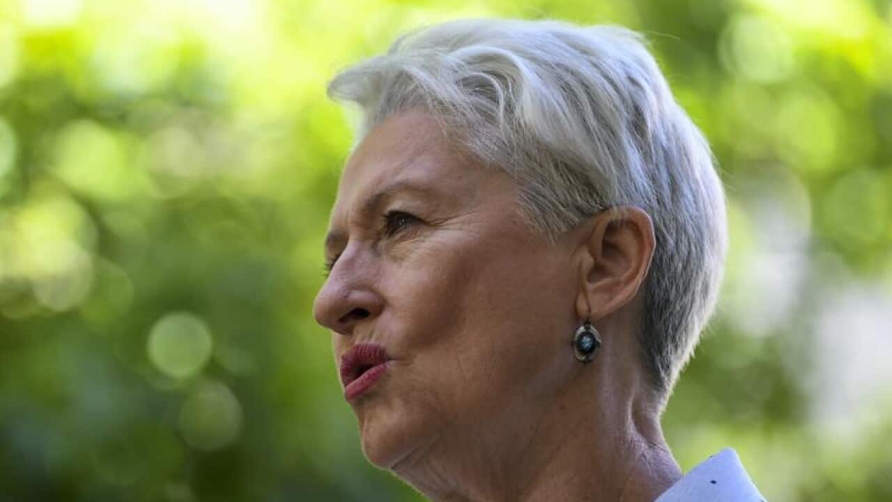 Kerryn Phelps