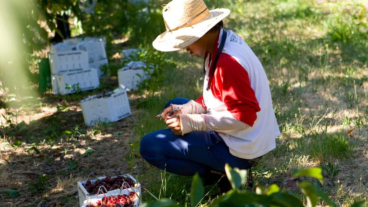 A cherry picker at work