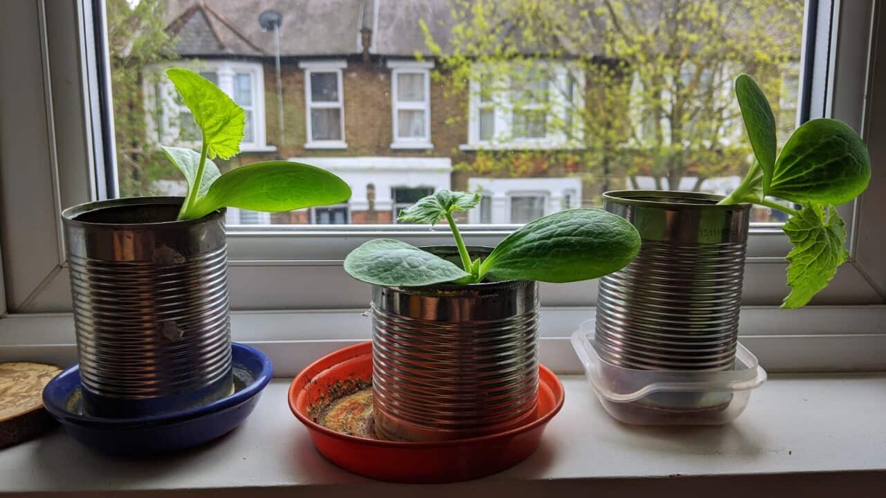 Getty Images/Gerard Puigmal