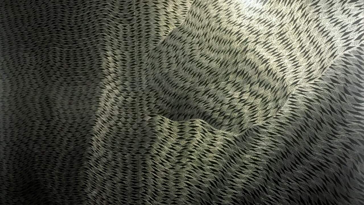 Detail of the winning work by Gunybi Ganambarr