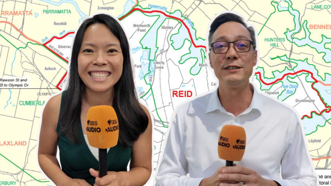 Image for read more article 'READ MORE'