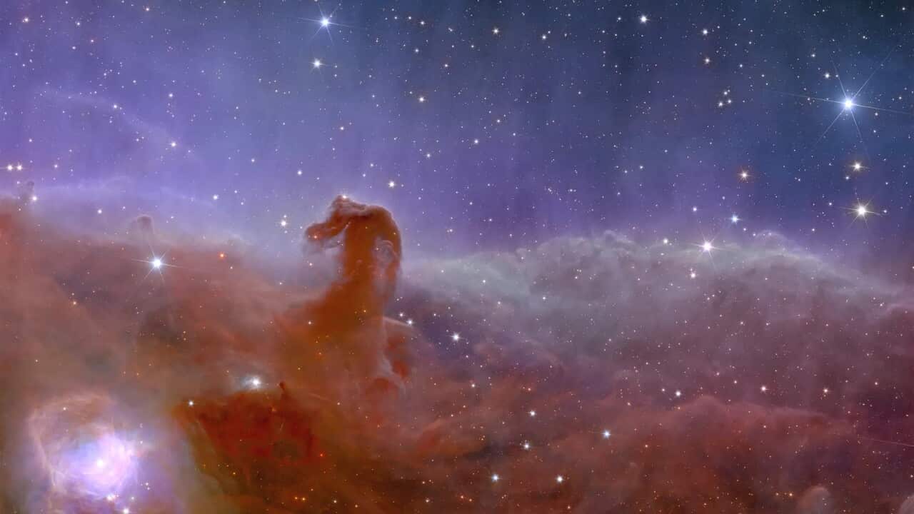 Stunning First Full-Colour Images From Euclid Telescope