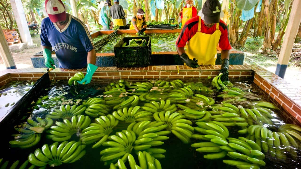 A new report has revealed more Australians think climate change will have an impact on severe weather – causing issues with our food supply.