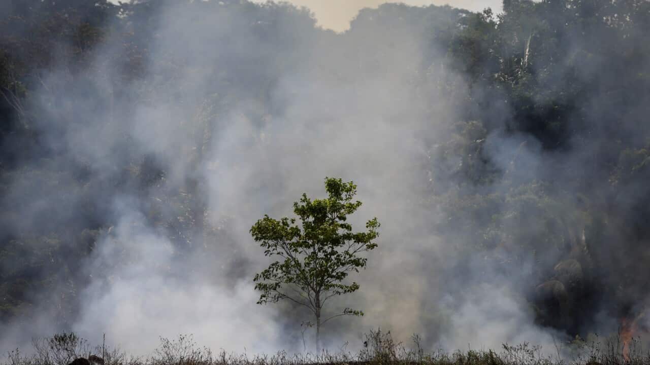A view of a fire near a highway in Manicore, Amazonas state, Brazil, 07 September 2019.