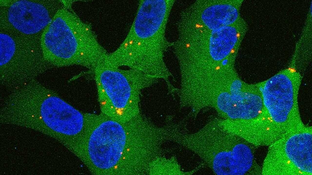 Health experts are calling for a safety standards body to be set up to monitor the use of nanoparticles added to many foods, sunscreens and cosmetics.