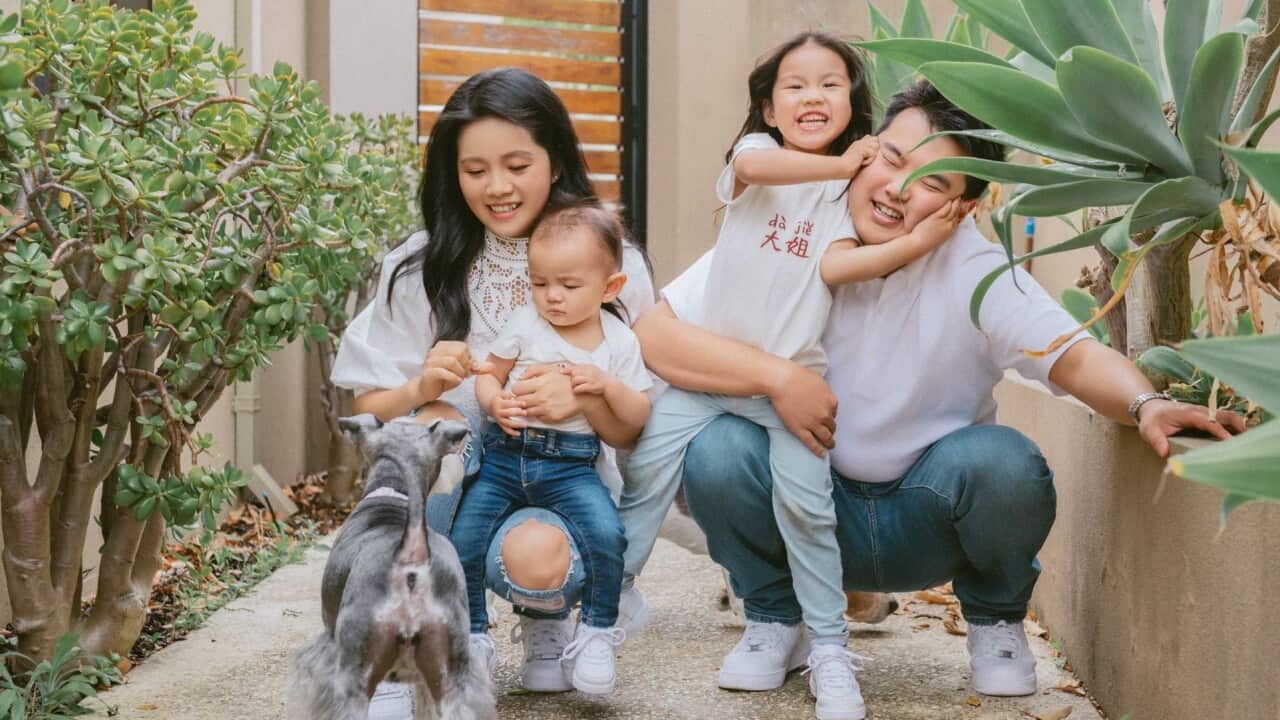 Image for read more article ''