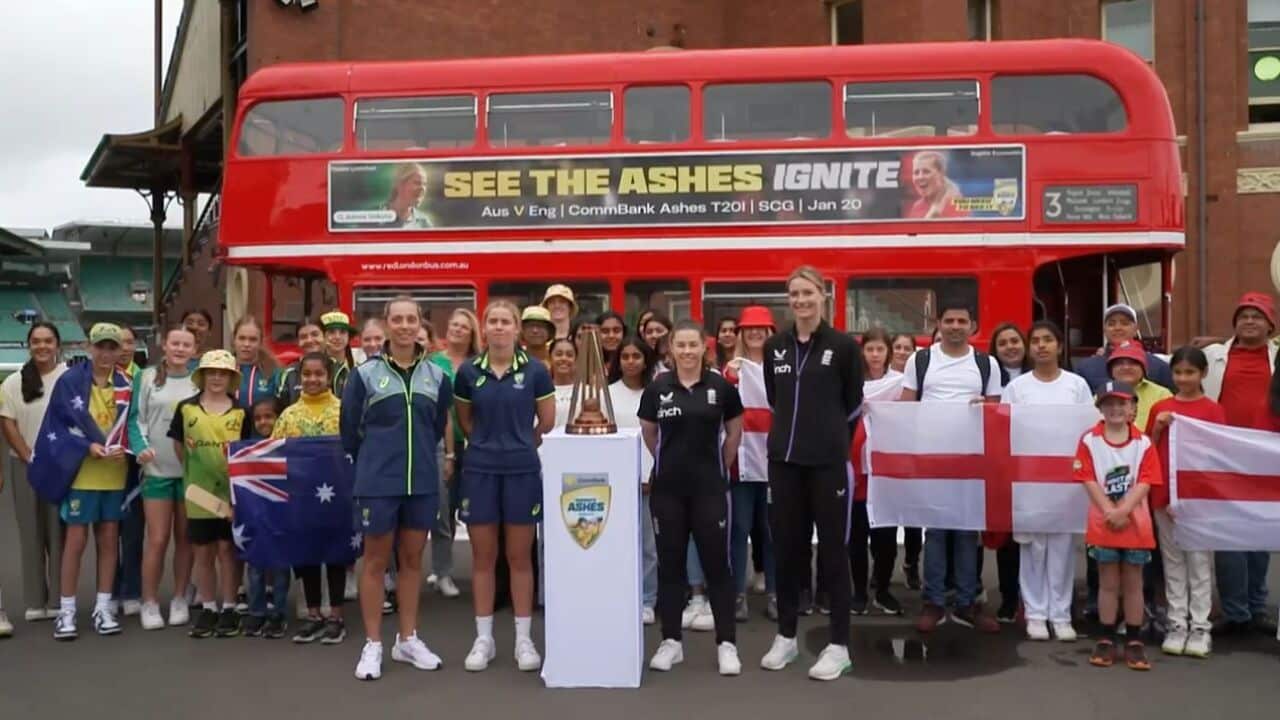 WhatsApp Image 2025-01-10 at 06.09.19.jpeg