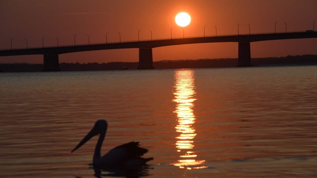 File image of the sun rising over Captain Cook Bridge in Sydney