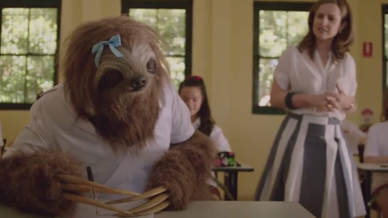A still from the NSW government's #Stonersloth anti-marijuana campaign.